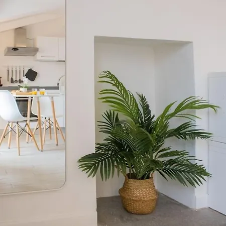 Centro Deluxe Con Wi-fi E Netflix
